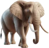 Elefante, grupo 12 do jogo do bicho